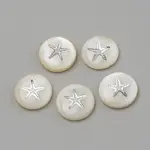 Natural Freshwater Shell Beads