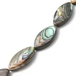 Natural Paua Shell Beads Strands