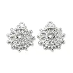 Brass Micro Pave Clear Cubic Zirconia Charms
