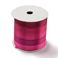 10M 5 Colors Polyester Ribbon