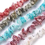 Freshwater Shell Beads Strands