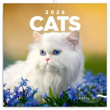 NOTIQUE Nástenný poznámkový kalendár Cats (Mačky) 2026