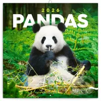 NOTIQUE Nástenný poznámkový kalendár Pandas (Pandy) 2026