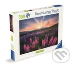 Vlčí boby,Vlčí boby - puzzle z kategorie Ostatné