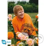 Ed Sheeran Plagát Maxi: Rose Field
