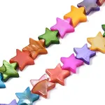 Natural Freshwater Shell Beads Strands