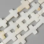 Natural Freshwater Shell Beads Strands