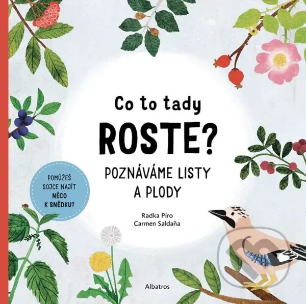 Co to tady roste? - Radka Píro, Carmen Saldana (ilustrátor)
