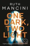 One Dark, Two Light (A gripping thriller from the author of The Woman on the Ledge) - kniha z kategorie Detektivky, thrillery a horory