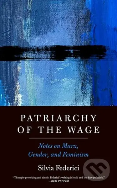 Patriarchy of the Wage (Notes on Marx, Gender, and Feminism) - kniha z kategorie Humanitní a společenské vědy