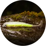 Redbass gumová nástraha ripper swimmer slim gold fish uv - s 70 mm