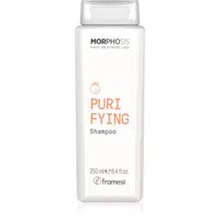 Framesi Morphosis Purifying čisticí šampon proti lupům 250 ml