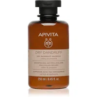 Apivita Dandruff Dry Dandruff Shampoo šampon proti lupům 250 ml