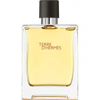 HERMÈS Terre d’Hermès parfém pro muže 200 ml