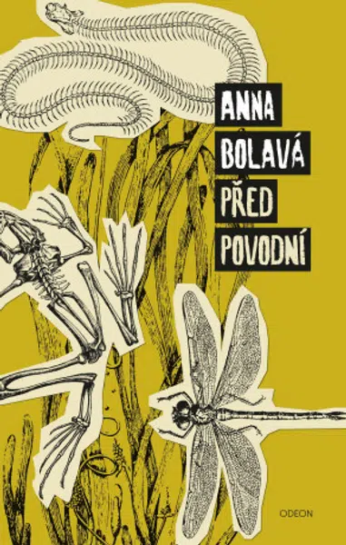 Před povodní - Anna Bolavá - e-kniha