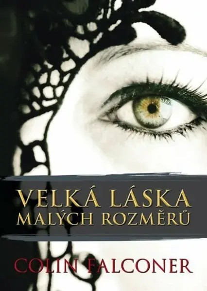 Velká láska malých rozměrů - Colin Falconer