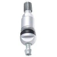 Ventil TPMS gumový - Ferdus 113.01 Varianta: TPMS 6. hliníkový
