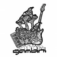 Gambini – Pleurotus ocularis