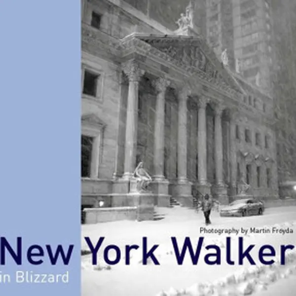New York Walker - Martin Froyda