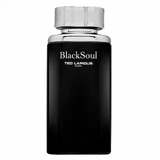 Ted Lapidus Black Soul toaletní voda pro muže 100 ml