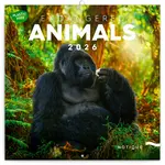 Poznámkový kalendář Ohrožené druhy 2026 - nástěnný kalendář