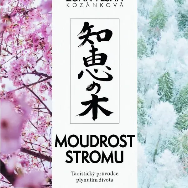 Moudrost stromu