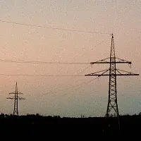 White Fruit Honey – Powerlines