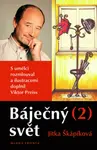 Báječný svět 2 (poškozená) - Jitka Škapíková