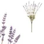 DEKORAČNÍ KVĚTINA 60 cm