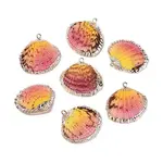 Spray Paint & Electroplate Natural Sea Shell Pendants