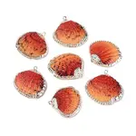 Spray Paint & Electroplate Natural Sea Shell Pendants