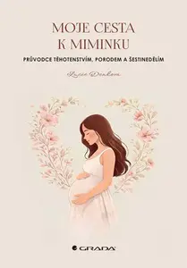 Kniha: Moje cesta k miminku od Denková Lucie