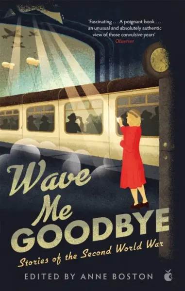 Wave Me Goodbye - Anne Boston
