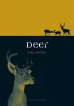 Deer - Fletcher John