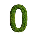 StyleGREEN MECHOVÝ OBRAZ