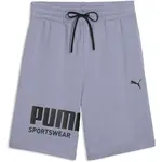 Puma SPORT GRAPHIC SHORTS TR Pánské šortky, šedá, velikost