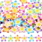 48Pcs 6 Colors Opaque Resin Cabochons