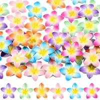 48Pcs 6 Colors Opaque Resin Cabochons