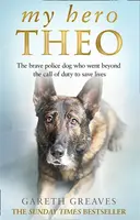 My Hero Theo - Gareth Greaves