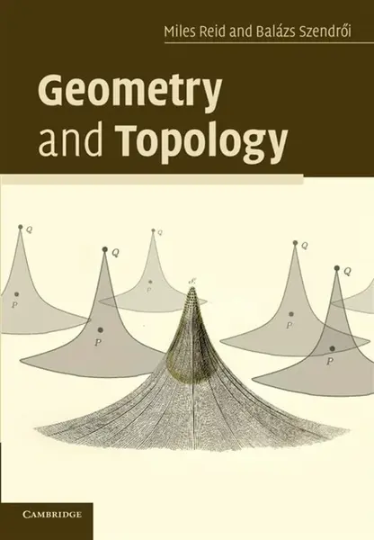 Geometry and Topology - Balazs  Szendroi, Miles  Reid