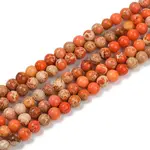 Dyed Natural Regalite/Imperial Jasper/Sea Sediment Jasper Beads Strands