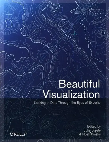 Beautiful Visualization : Looking At Data Through The Eyes Of Experts - Julie Steele
