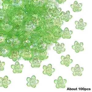 15g Transparent Acrylic Bead Caps