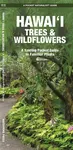 Hawai'i Trees & Wildflowers, 2nd Ed - James Kavanagh