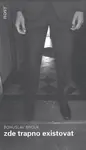 Zde trapno existovat (poškozená) - Bohuslav Brouk