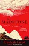 The Madstone - Elizabeth Crook
