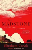 The Madstone - Elizabeth Crook