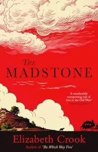 The Madstone - Elizabeth Crook