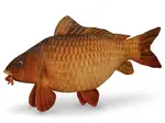 Delphin plyšový kapr capry 60 cm