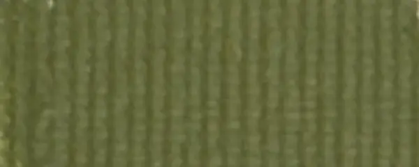 Olejová barva Extra 20ml – 18 Zem zelená olivová